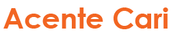 Acente Cari